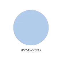 The Collection Guide 114 HYDRANGEA-INK