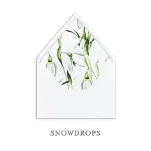 The Collection Guide 175 SEMI-CUSTOM-ENVELOPE-LINERS-SNOWDROPS